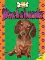 Dachshunds