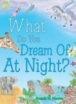 What Do You Dream of at Night?