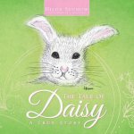 Tale of Daisy