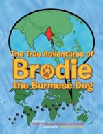 True Adventures of Brodie the Burmese Dog
