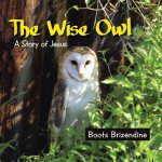 Wise Owl