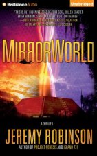 Mirrorworld