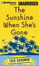 The Sunshine When She's Gone