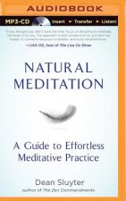 Natural Meditation: A Guide to Effortless Meditative Practice