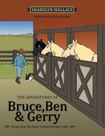 Adventures of Bruce, Ben & Gerry