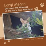 Corgi Megan Discovers the Redwoods of the Santa Cruz Mountains