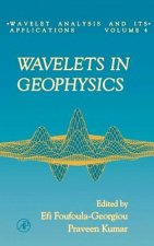 Wavelets in Geophysics