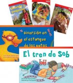 Conceptos Basicos (Basic Concepts) 6-Book Set (Themed Fiction and Nonfiction)