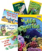 Grupos de Animales (Animal Groups) 6-Book Set (Themed Fiction and Nonfiction)