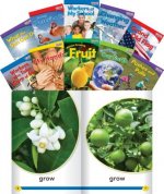 Time for Kids Informational Text Grade K Readers 30-Book Set