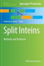Split Inteins