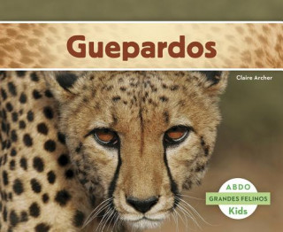 Guepardos