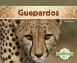 Guepardos