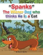 Spanks the Wiener Dog Who Thinks He Is a Cat