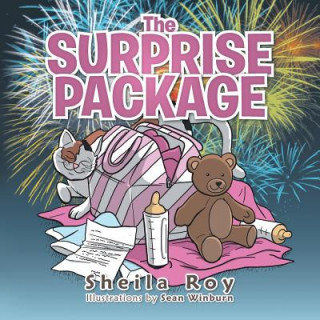 Surprise Package