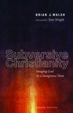Subversive Christianity
