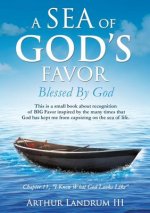 Sea of God's Favor