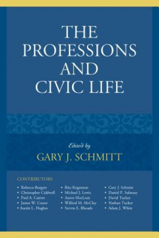 Professions and Civic Life