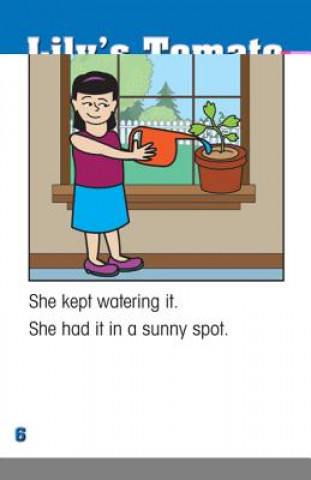 Lily's Tomato