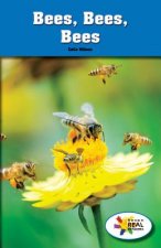 Bees, Bees, Bees