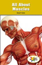 All about Muscles