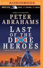 Last of the Dixie Heroes: A Novel of Suspense