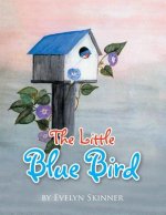 Little Blue Bird