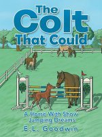 Colt That Could