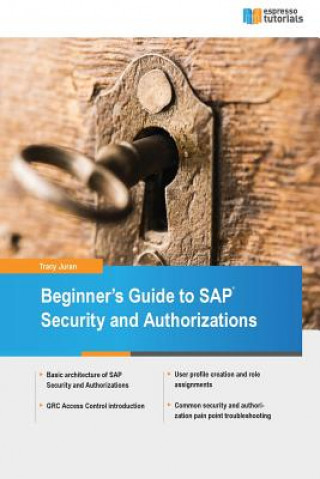 Beginner's Guide to SAP Security and Authorizations