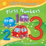First Numbers: Touch-And-Trace Early Learning Fun!