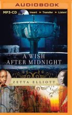 A Wish After Midnight