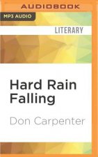 Hard Rain Falling