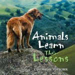 Animals Learn Their Lessons