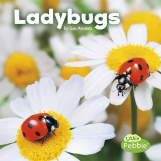 Ladybugs