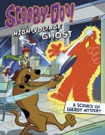 Scooby-Doo! a Science of Energy Mystery: The High-Voltage Ghost