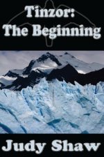 Tinzor: The Beginning