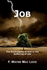 Job: The Sovereignty of God in the Suffering of Job