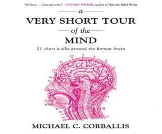 A Very Short Tour of the Mind: 21 Short Walks Around the Human Brain