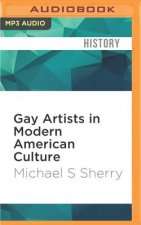 Gay Artists in Modern American Culture: An Imagined Conspiracy
