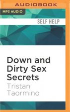Down and Dirty Sex Secrets: The New and Naughty Guide to Being Great in Bed