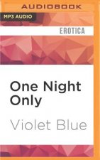 One Night Only: Erotic Encounters