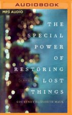 The Special Power of Restoring Lost Things