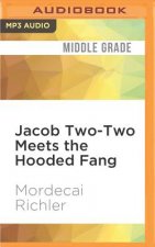 Jacob Two-Two Meets the Hooded Fang