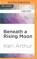 Beneath a Rising Moon