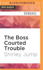 The Boss Courted Trouble