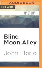 Blind Moon Alley: A Jersey Leo Novel