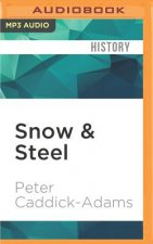 Snow & Steel: The Battle of the Bulge 1944-45