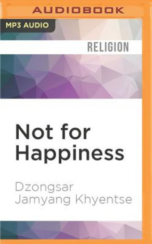 Not for Happiness: A Guide to the So-Called Preliminary Practices