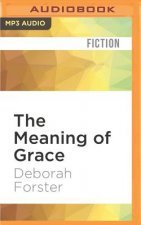 The Meaning of Grace