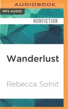 Wanderlust: A History of Walking